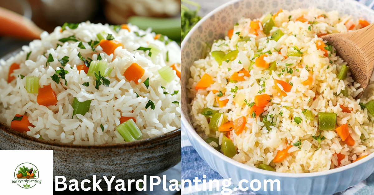 is rice a vegetable