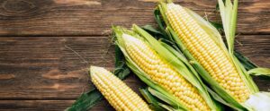 Why Is There a Corn Shortage? Causes and Solutions 