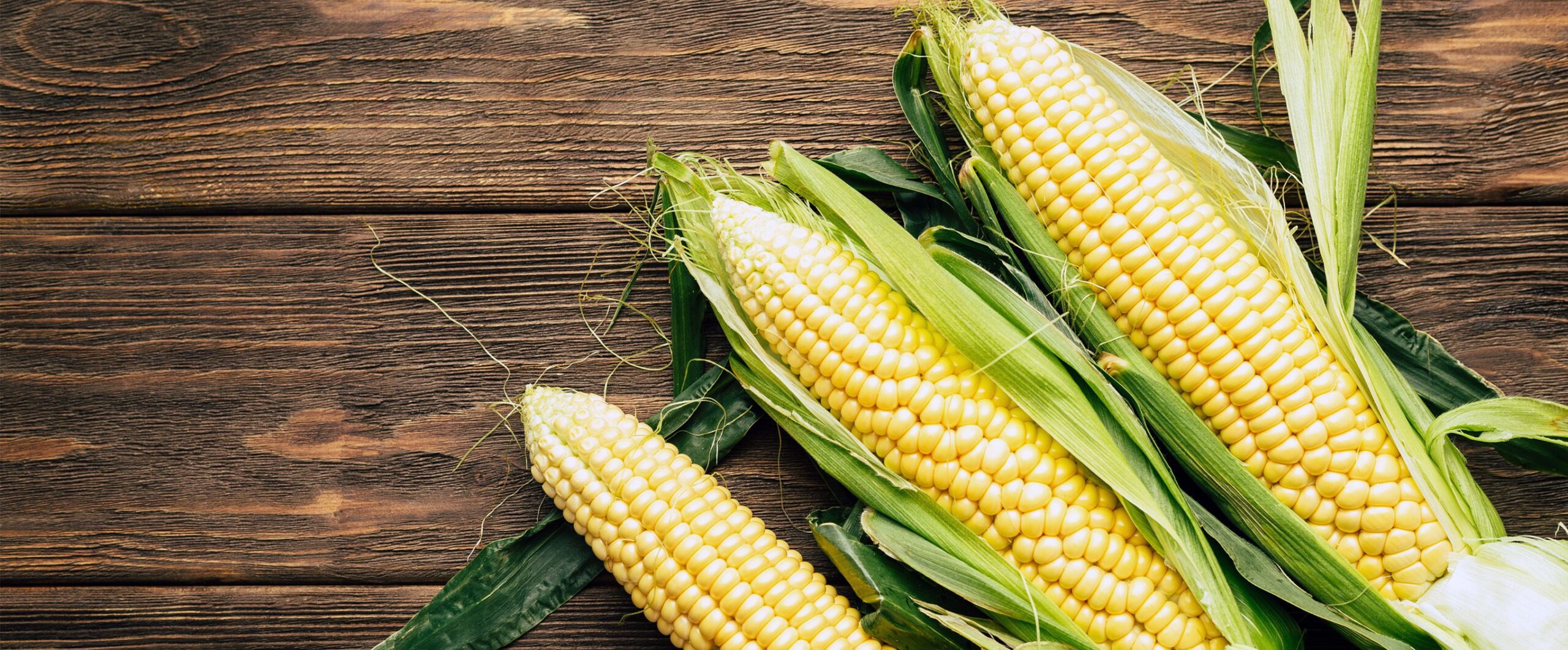 corn shortage