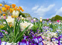 Benefits of Gardening